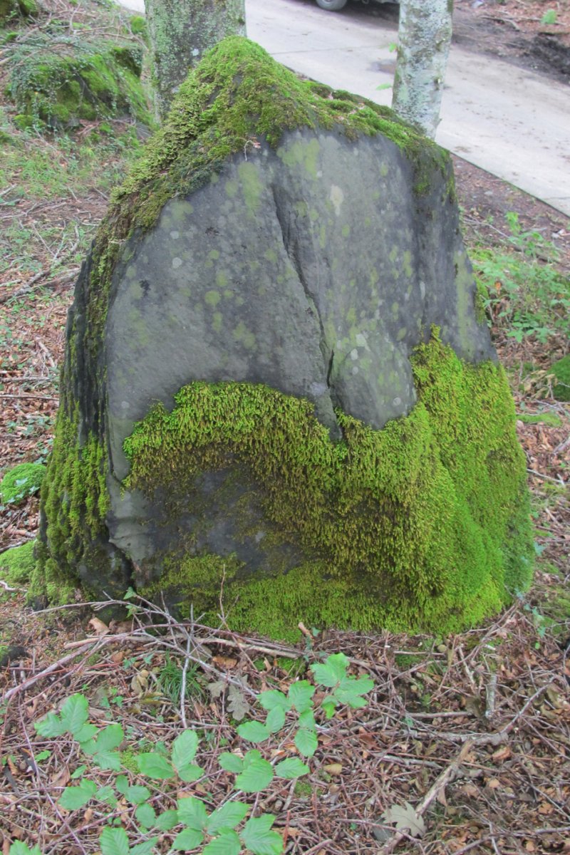 Arbotante 3 zutarria, Donamaria