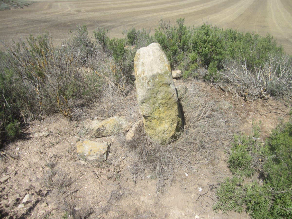 Monolito Altico de Matapiojos (07-2023)