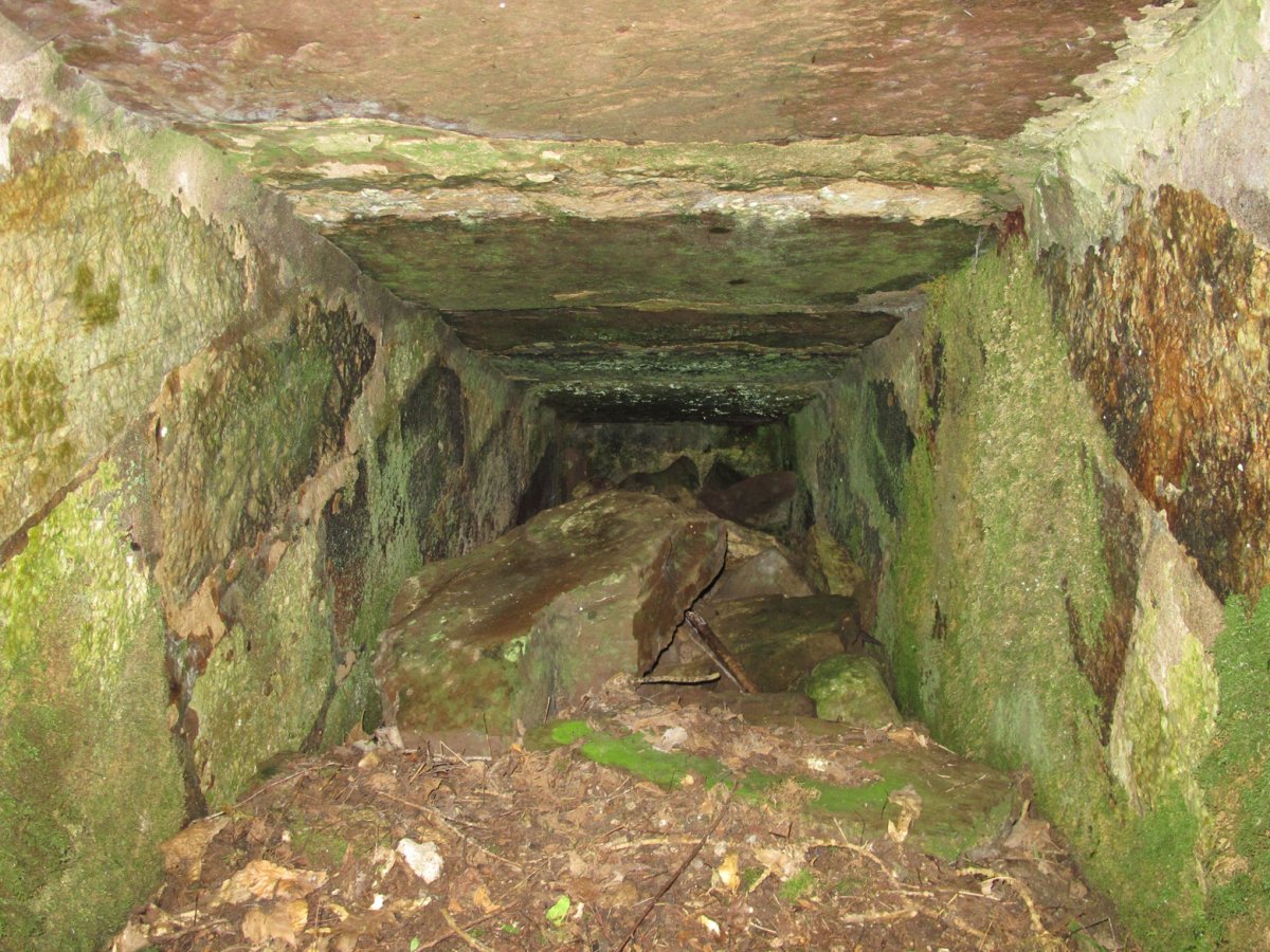 Errotako hondakinak, Ezkurra