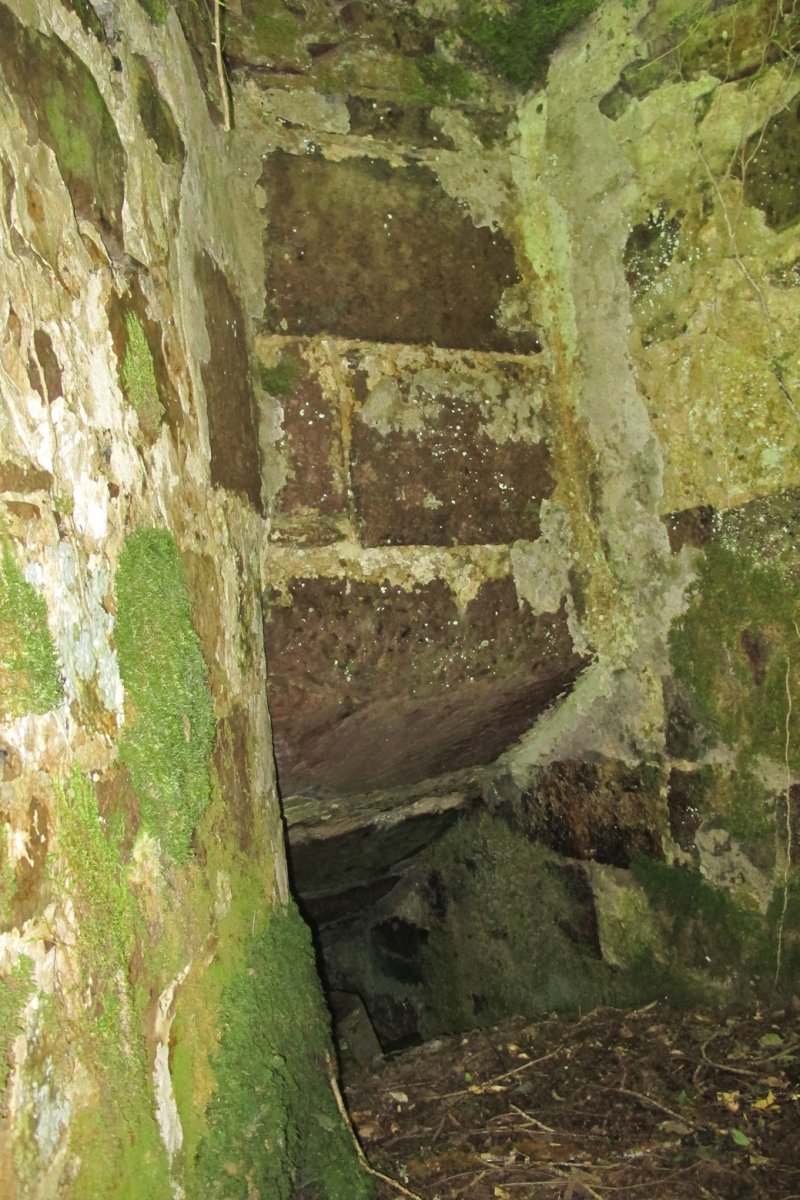 Errotako hondakinak, Ezkurra