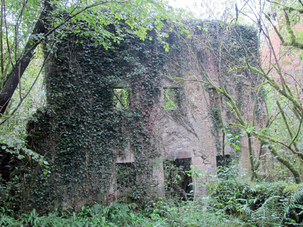 Beheko Errota, Arantza