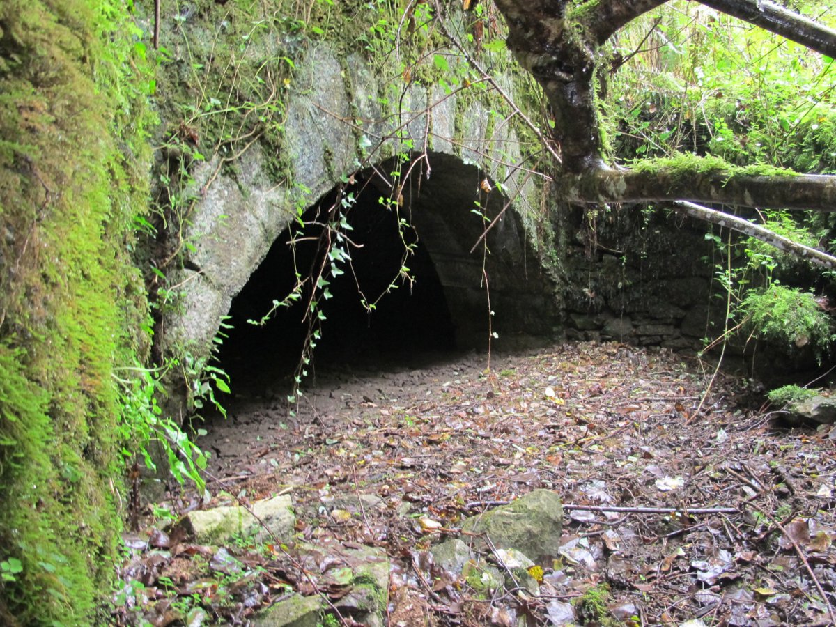 Beheko Errota, Arantza