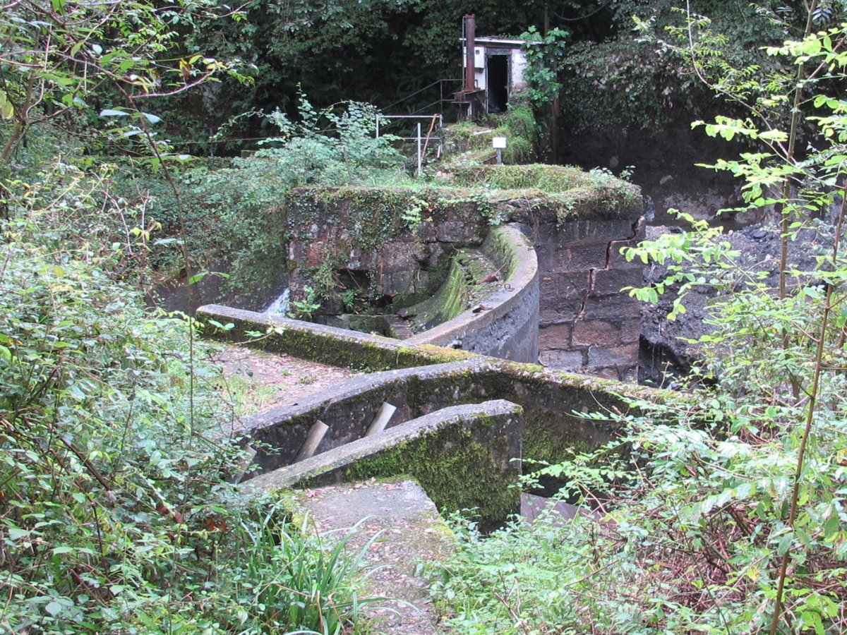 Beheko Errotako Presa, Arantza