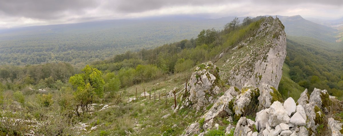 Mendebaldeko Tontorra