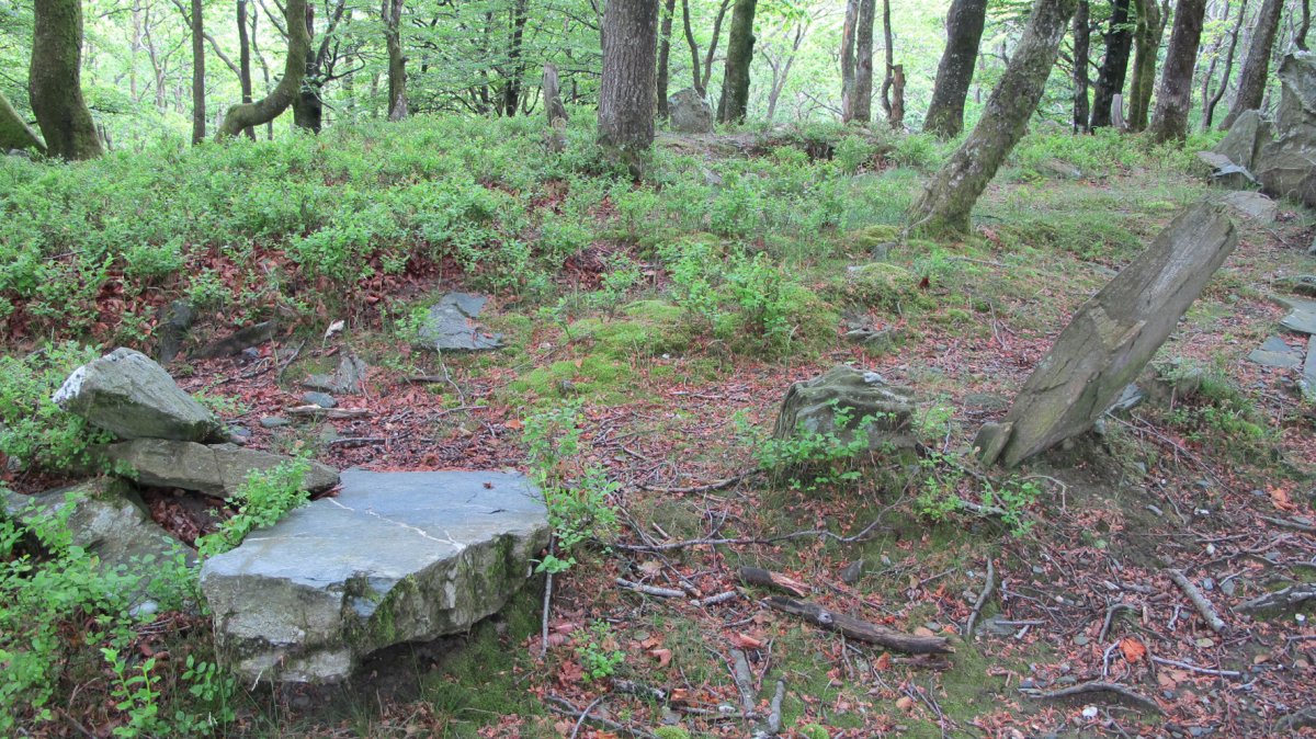 Baraxar Pagoxar harrespila, Goizueta