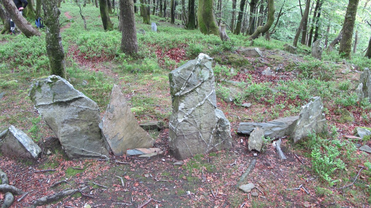 Baraxar Pagoxar harrespila, Goizueta