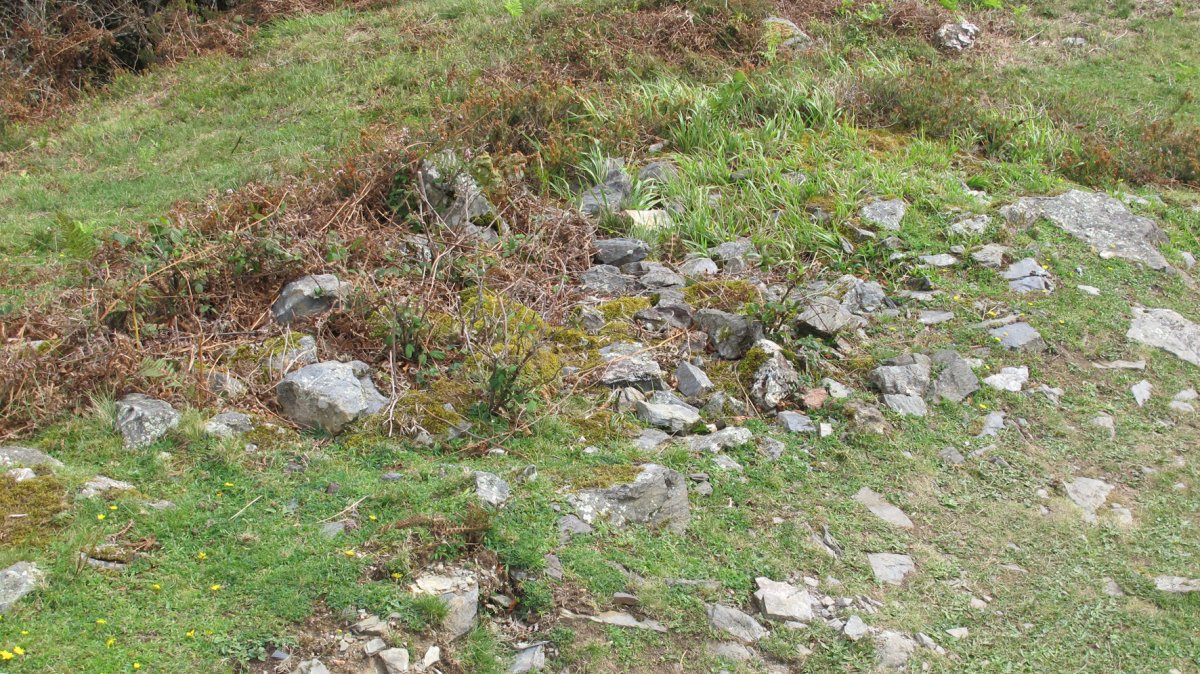 Ollargarata tumulua, Arantza