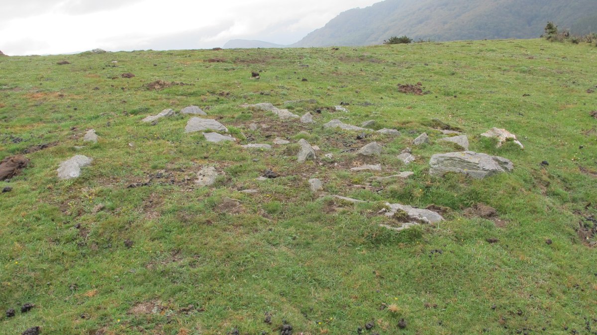 Zipuru tumulua, Arantza