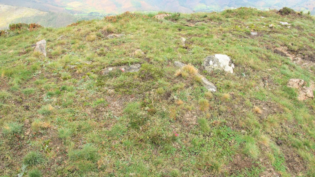 Mairubaratzeta harrespila, Sunbilla