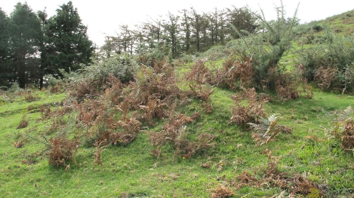 Bulatxiki etxola hondoa, Arantza-Sunbilla