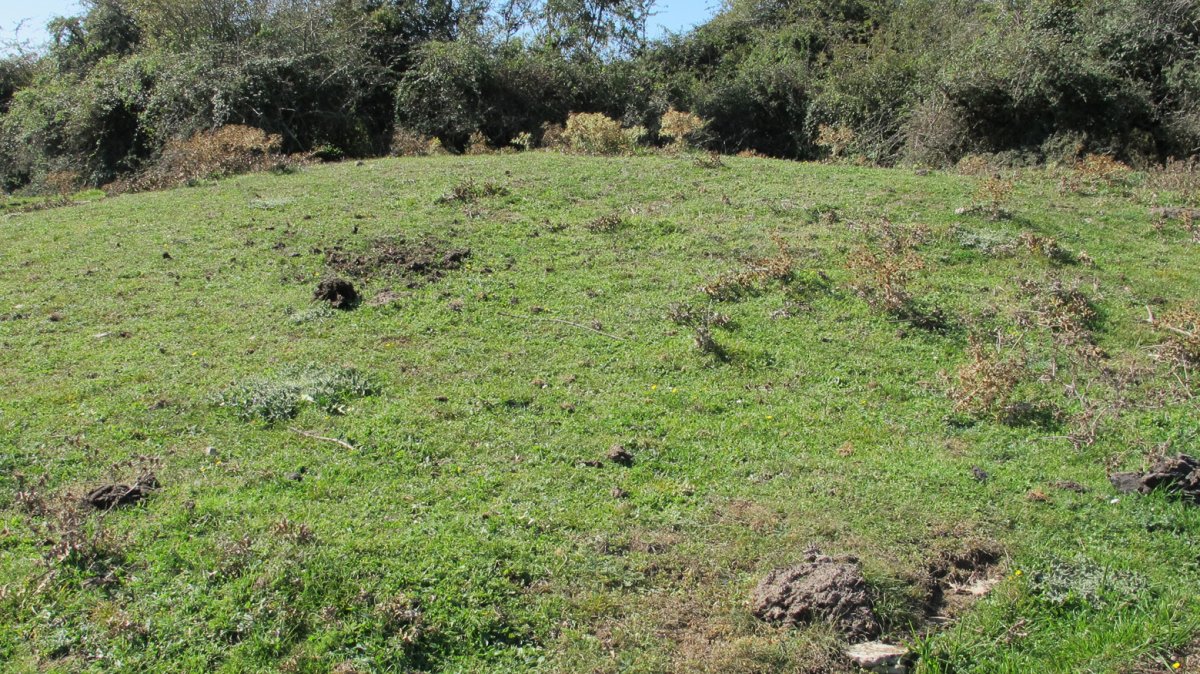 Iguzpegi 2 etxola hondoa, Andia