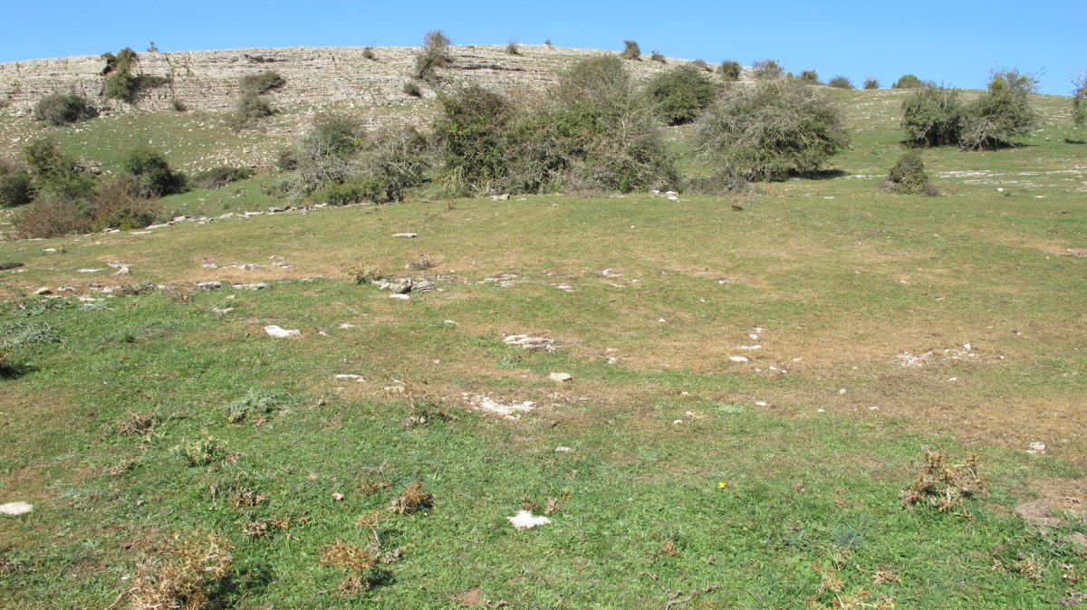 Soosa 14 etxola hondoa, Andia