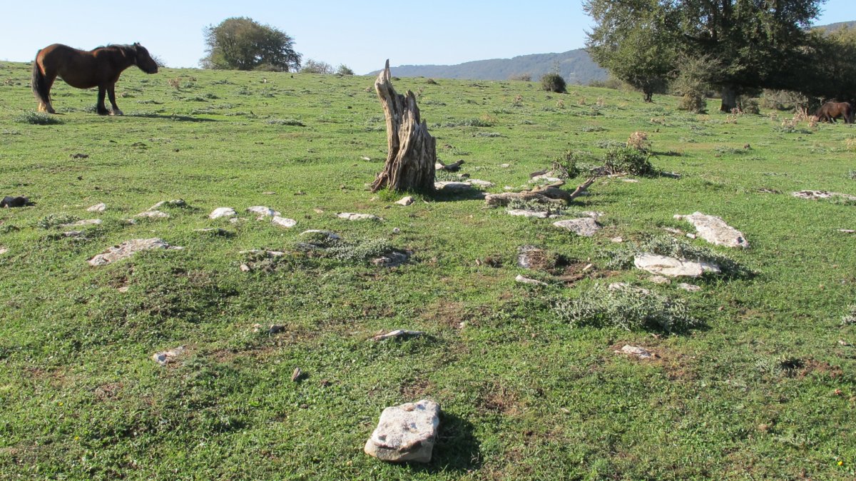 Mirueta 2 exola hondoa, Andia