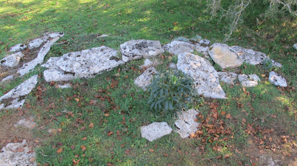 Eztañiturri zista edo hilobi 4, Andia