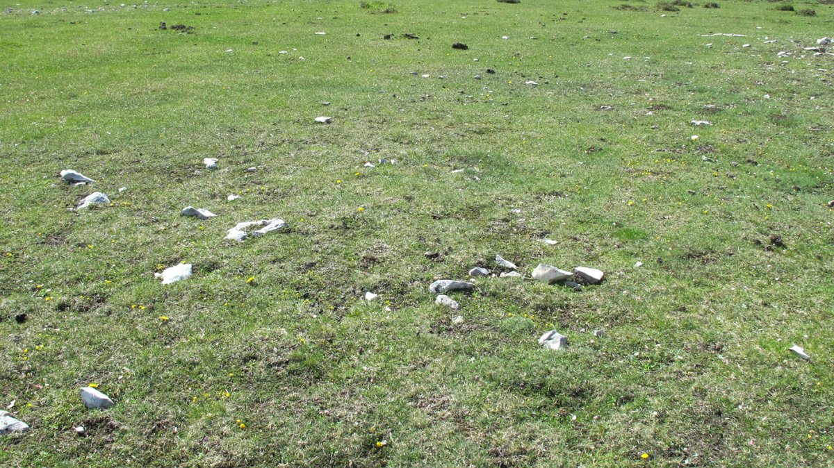 Balsa Fria 3 tumulua, Andia