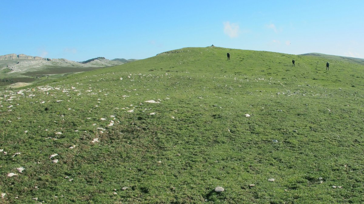 Erlotxiki 4 eraztun tumulua, Andia