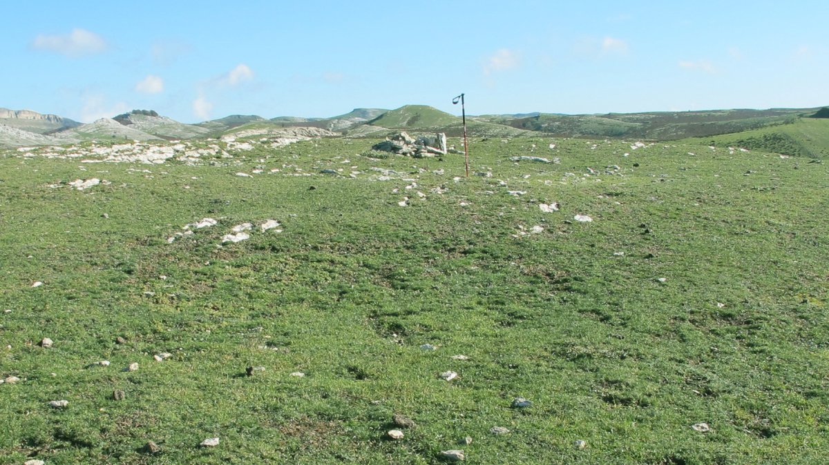 Erlotxiki 2 eraztun tumulua, Andia