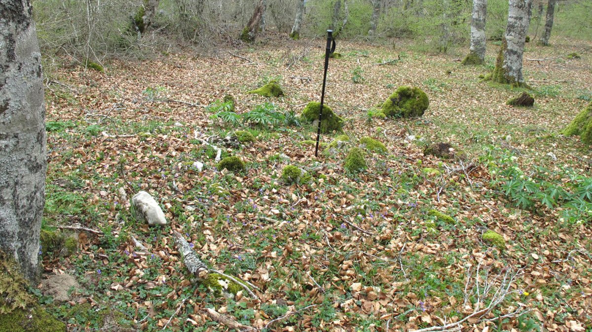 Bagaritxa 3 tumulua, Goñi