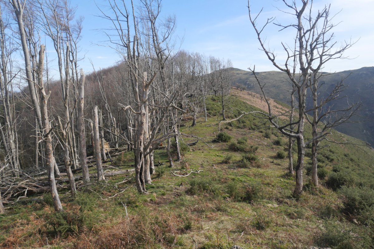 Faalegi gailurra, bi tontorren arteko pasartea