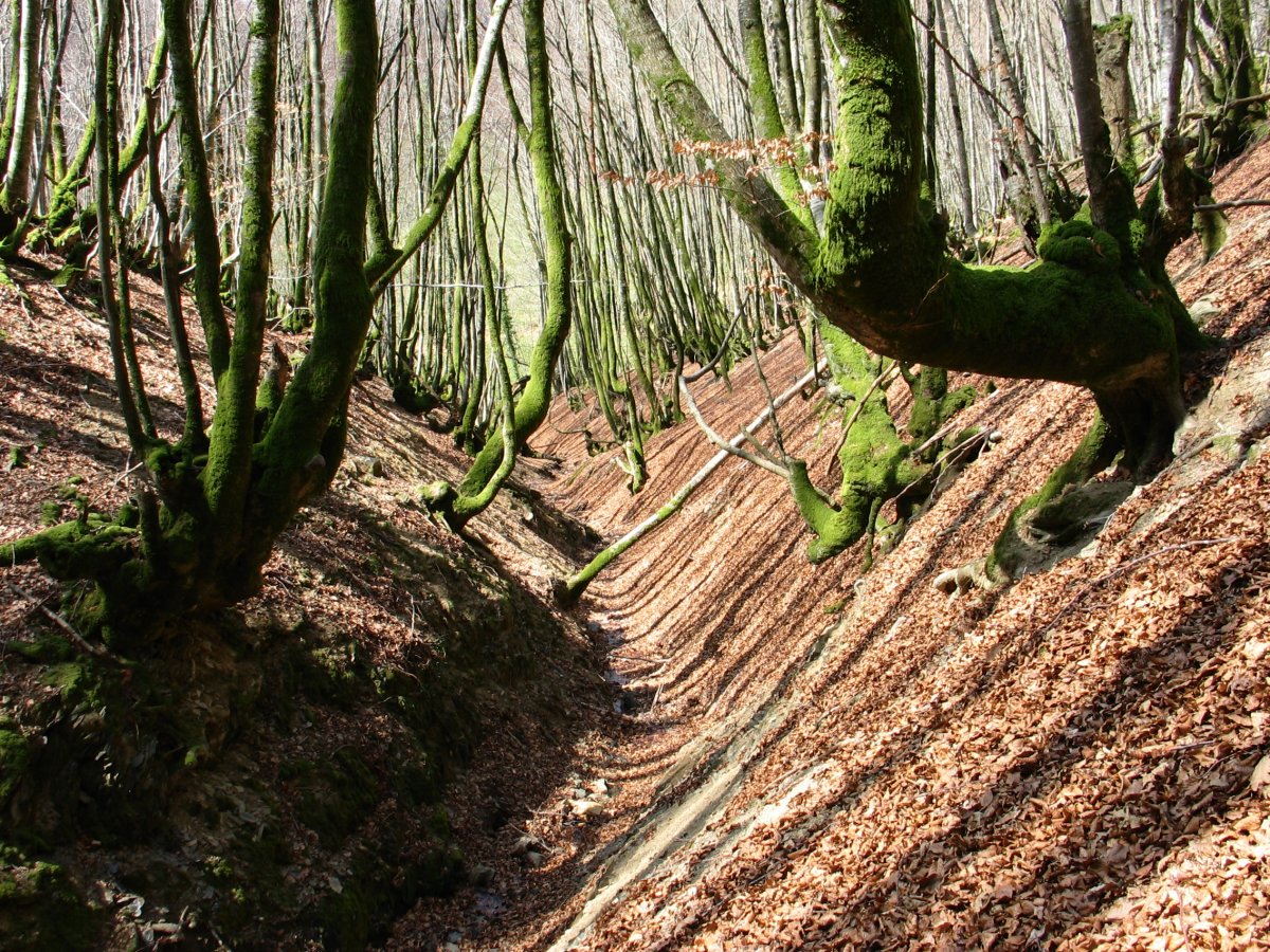 Errekastoa pagadiaren baitan