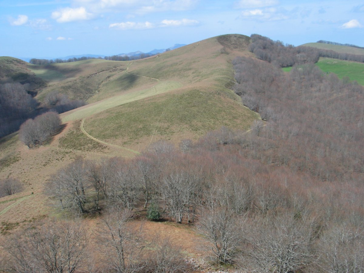 Larrondo gaina Erkizatik