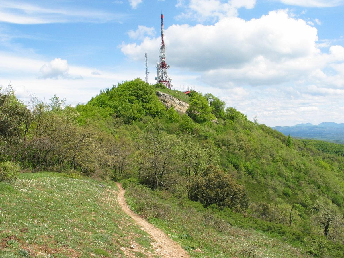 Zaldiaran tontorra mendebaldeko bizkarretik