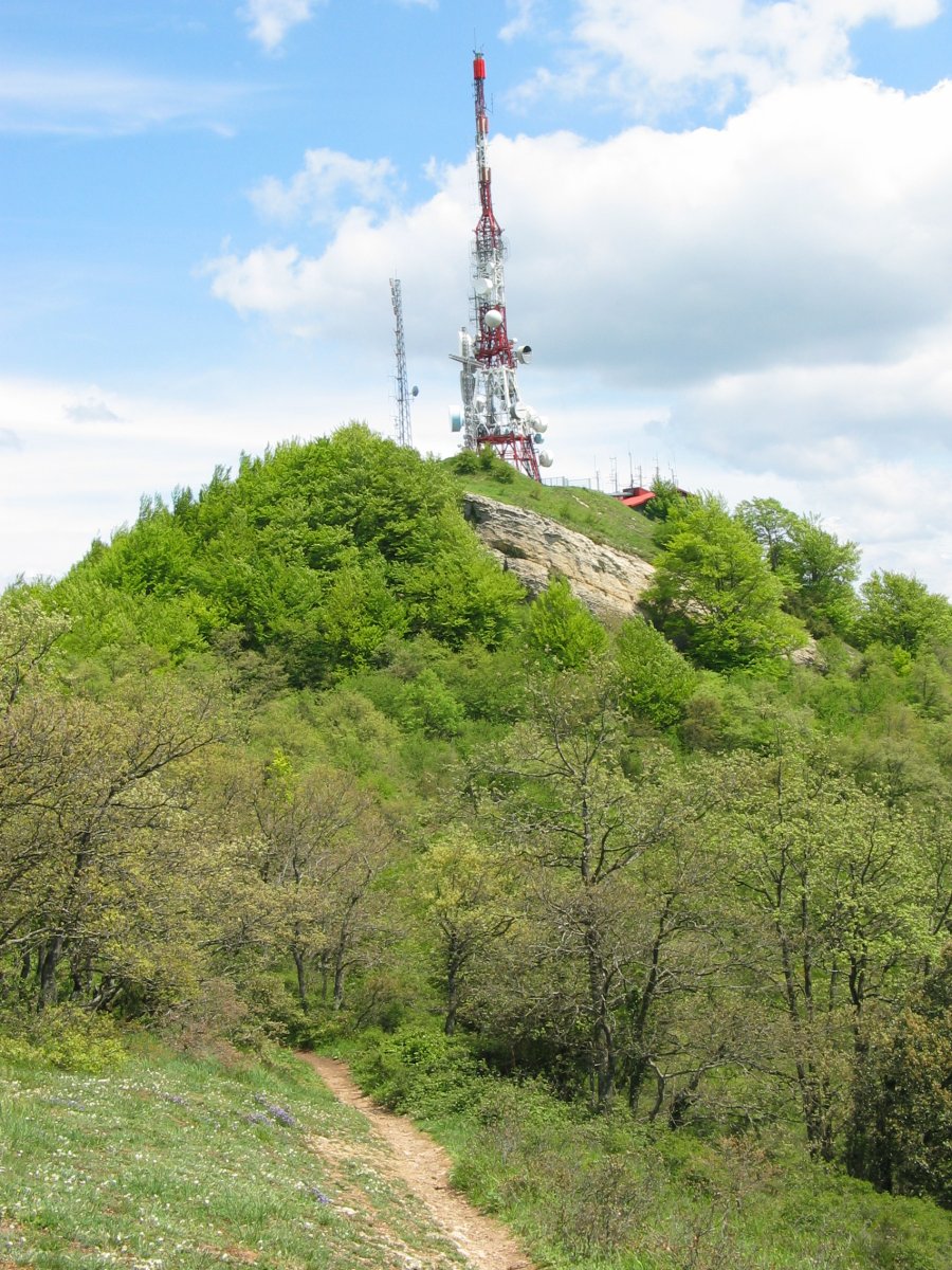 Zaldiaran tontorra, mendebaldeko bizkarretik