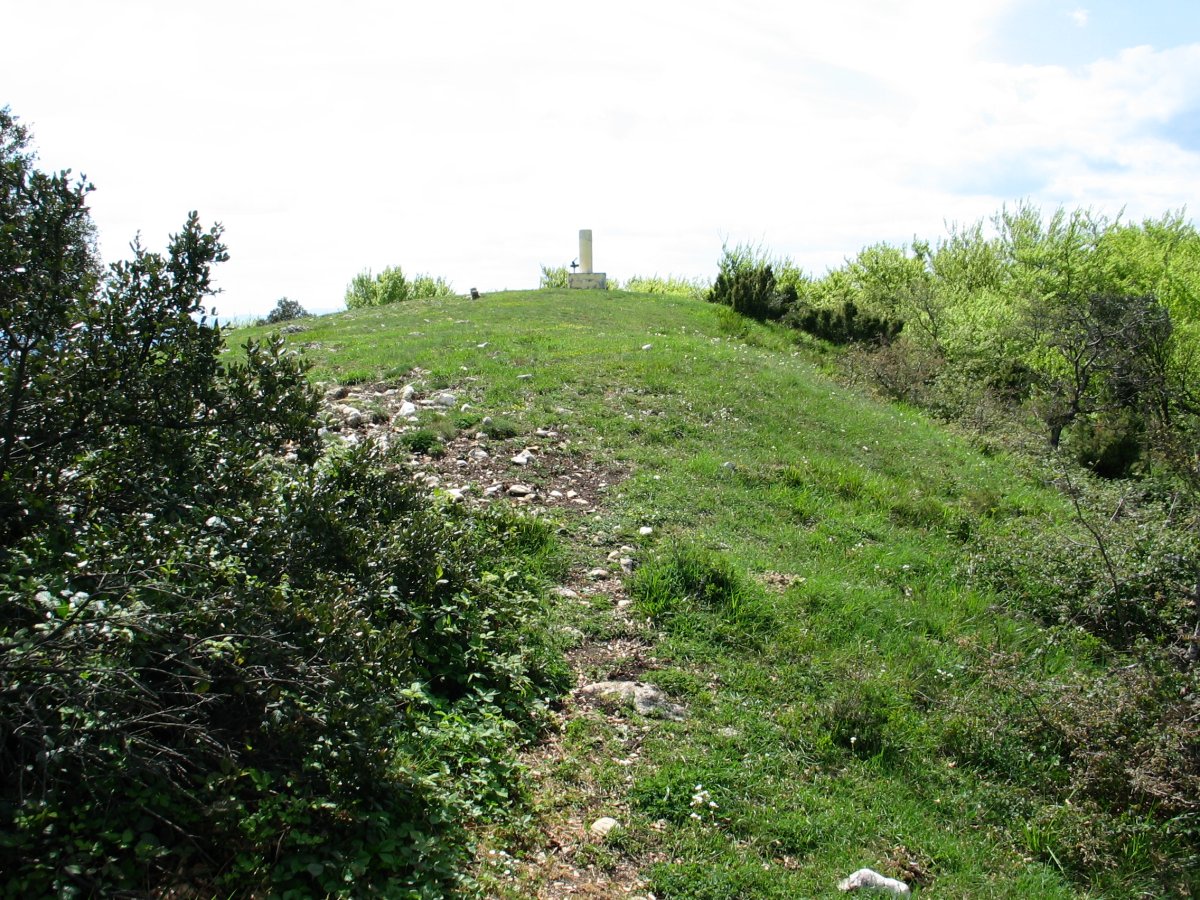 Arrieta tontorra ekialdetik