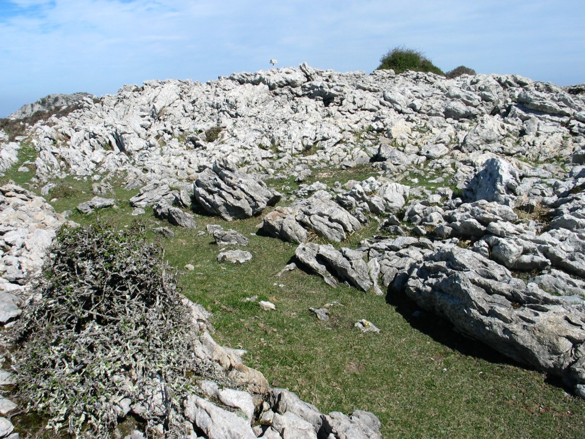 Bernagoitiburu, tontorra.