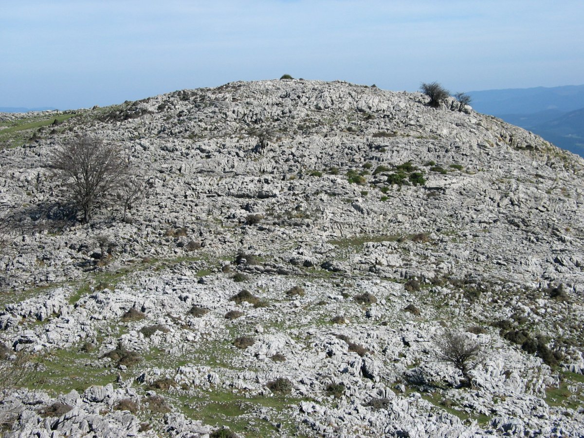 Bernagoitiburu tontorra Betzuenburu aldetik