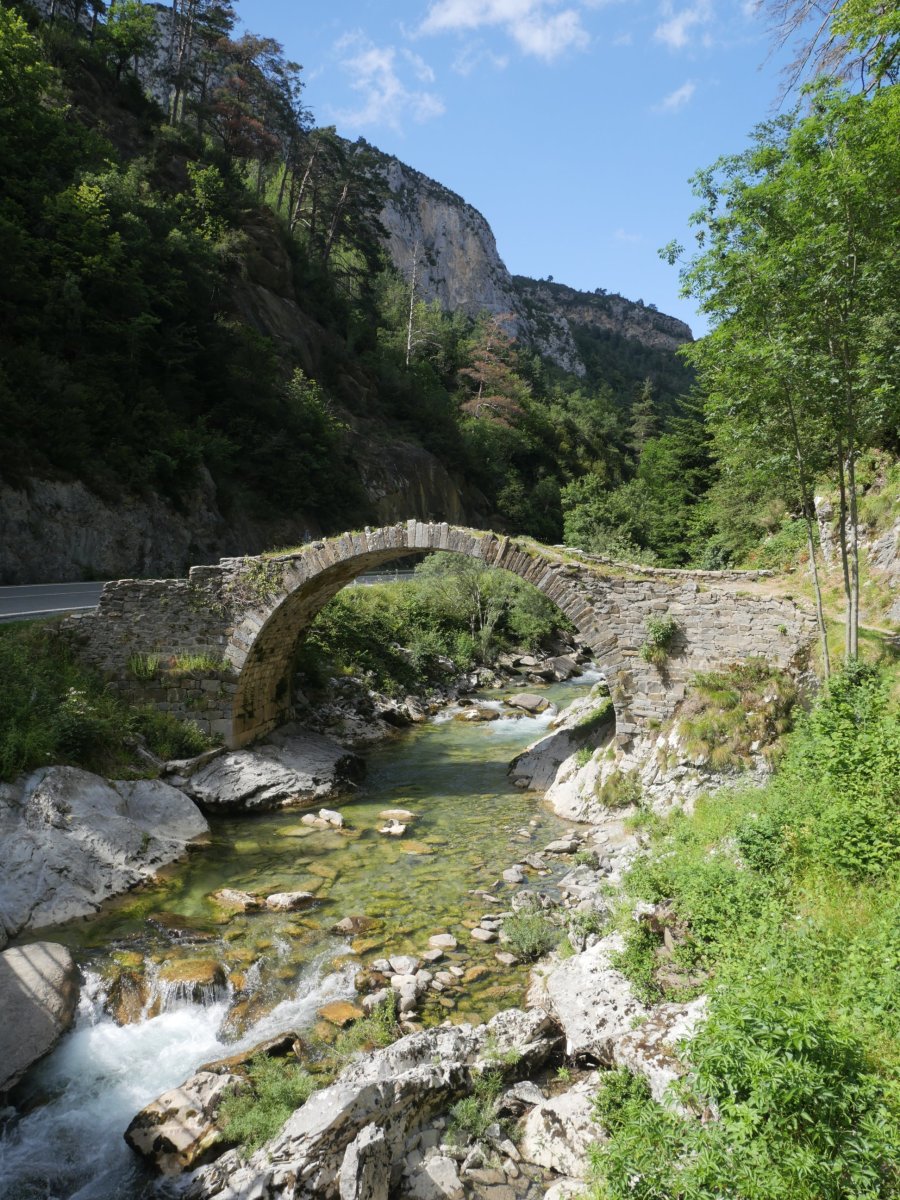 Zubia Belaguako errepidearen bazterrean