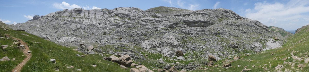 Esquesteko bizkar luzea