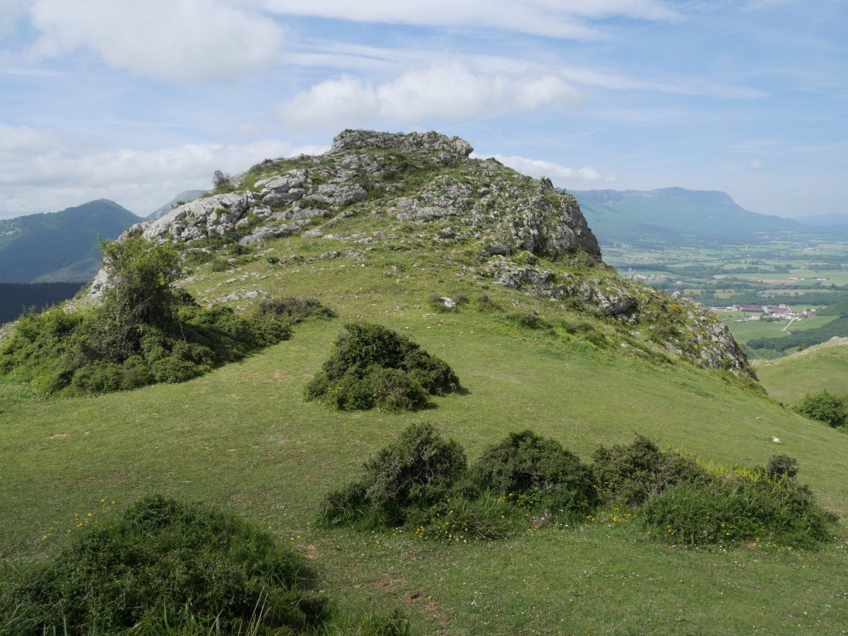 Allegain (ekialdekoa) tontorra