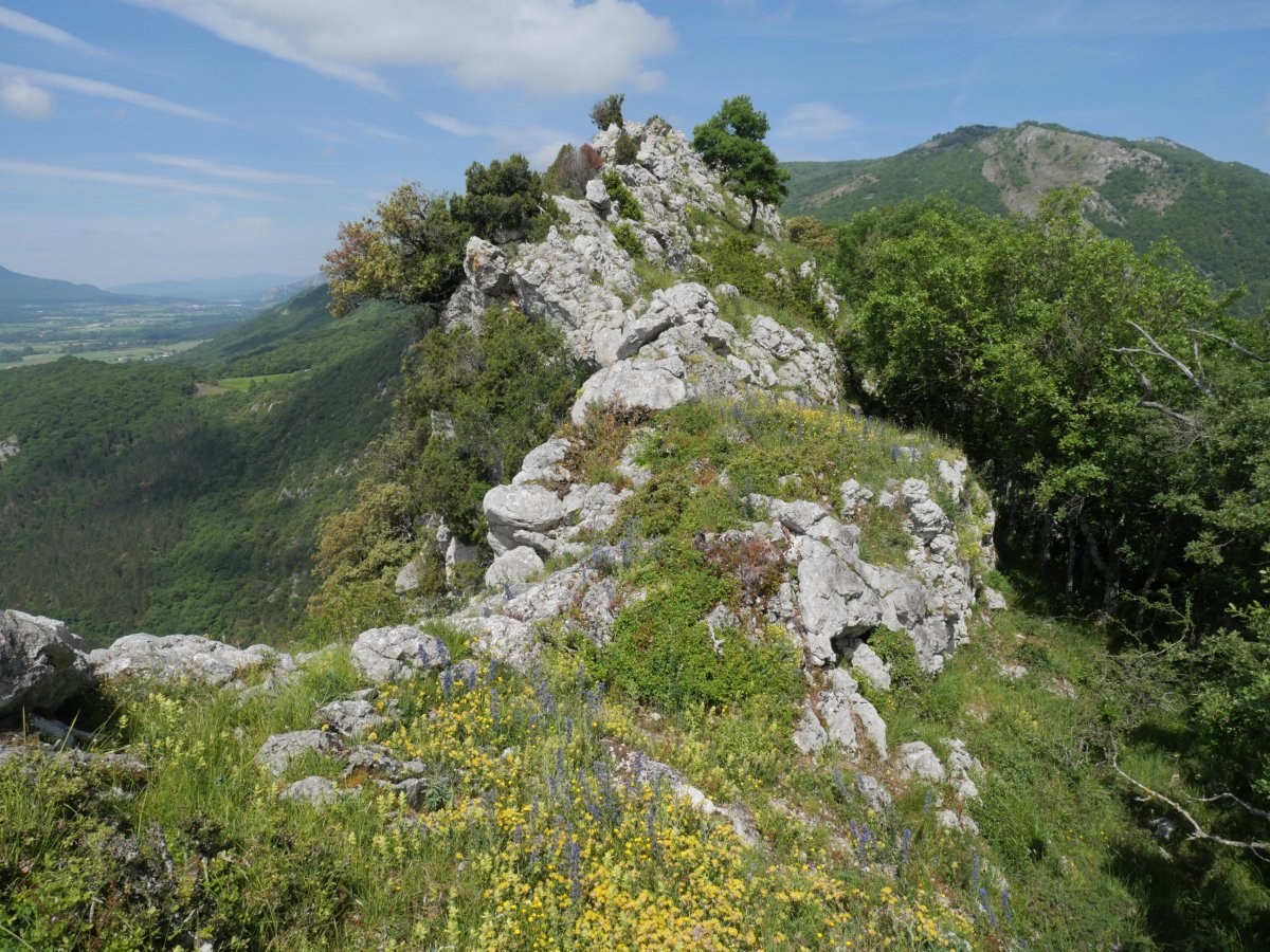 Ekialdeko gandorreko beste pasarte bat