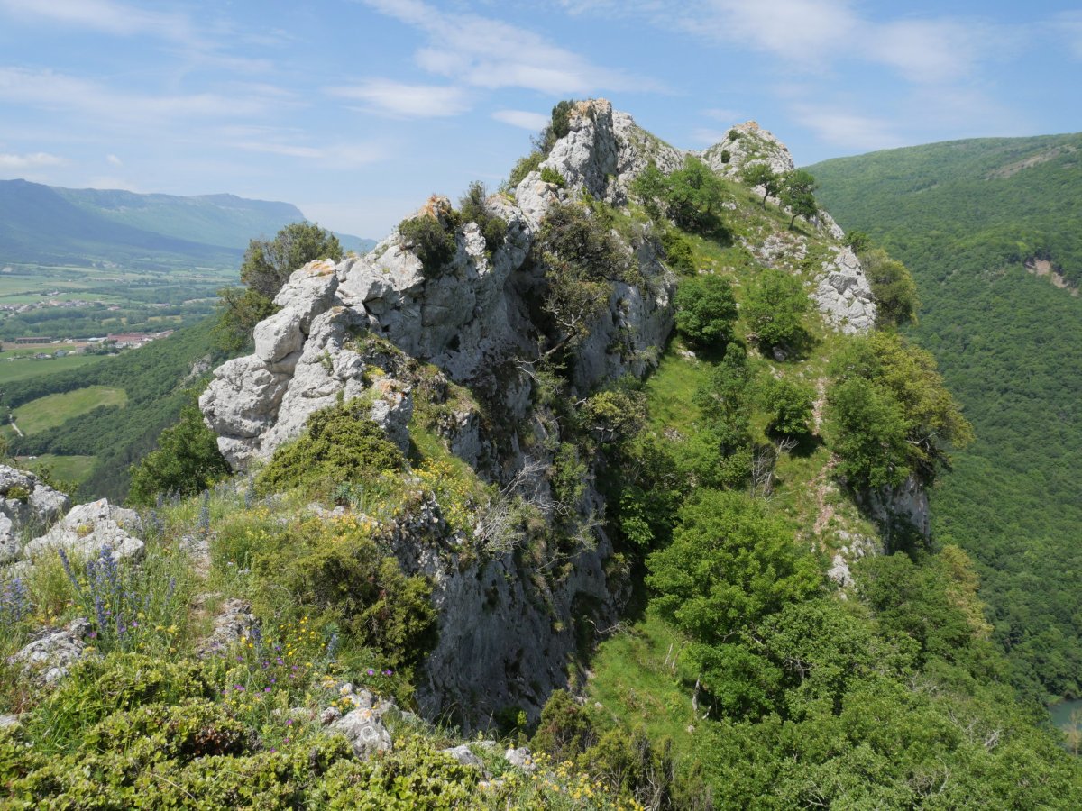 Haitz Txikia ekialdetik, azken txanpa