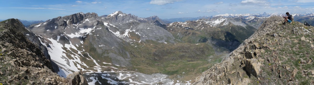 Petraficha tontorra eta panoramika