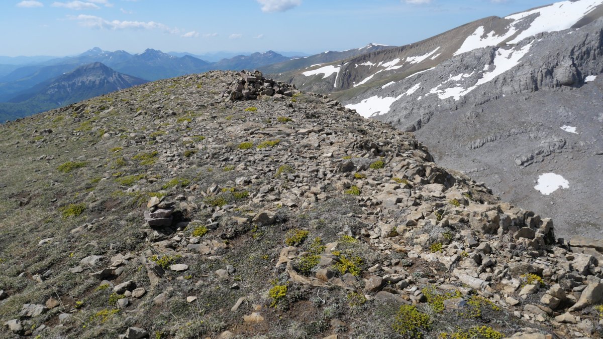 Quimboa, IMko azken muturra