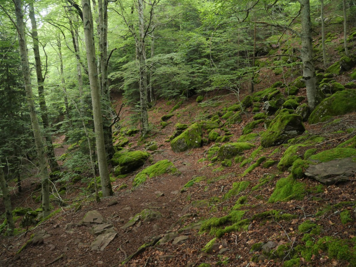 Castiello d'Acher, bideko pasarte bat