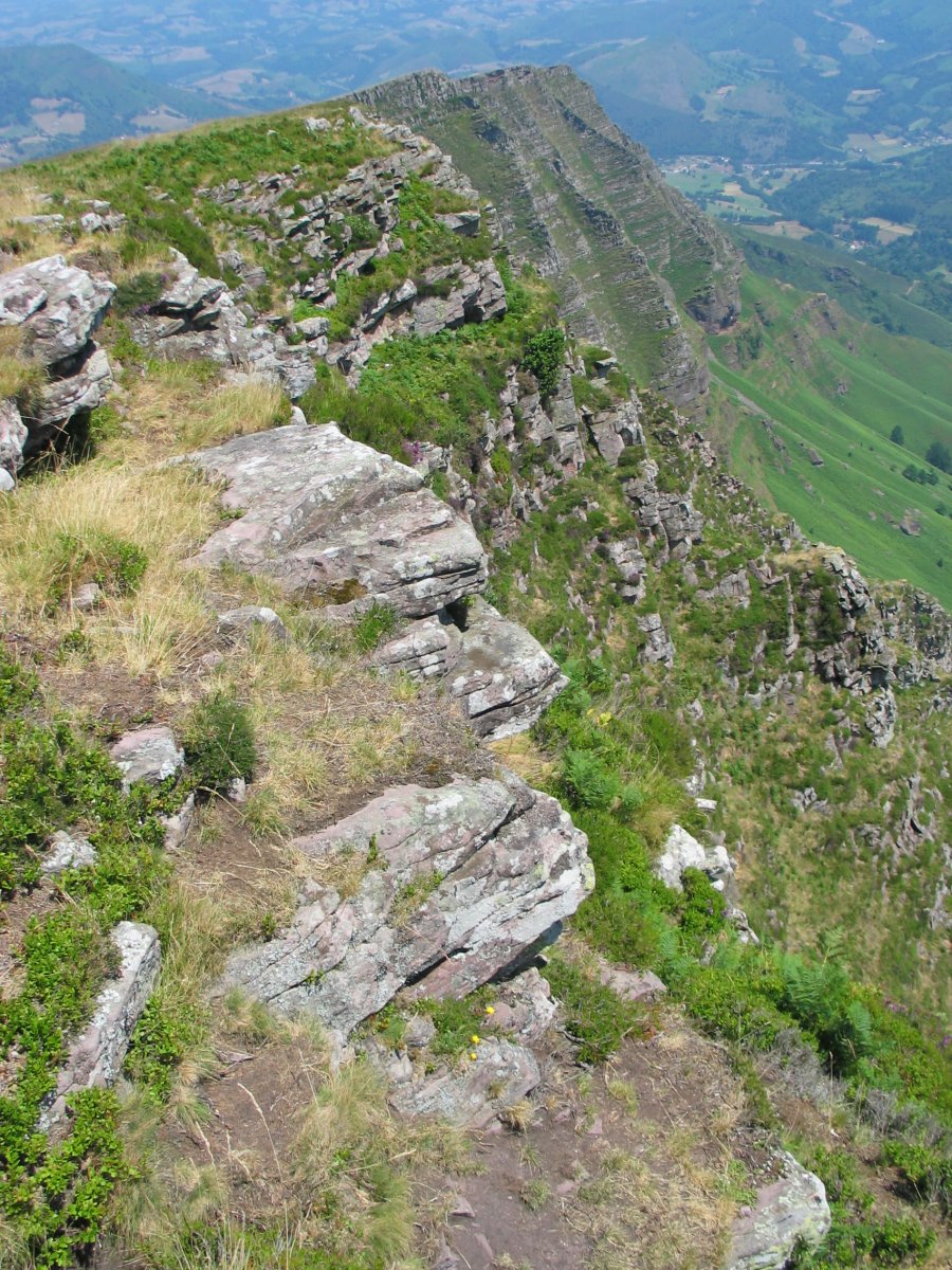 Iparla, Iparraldeko gandorra