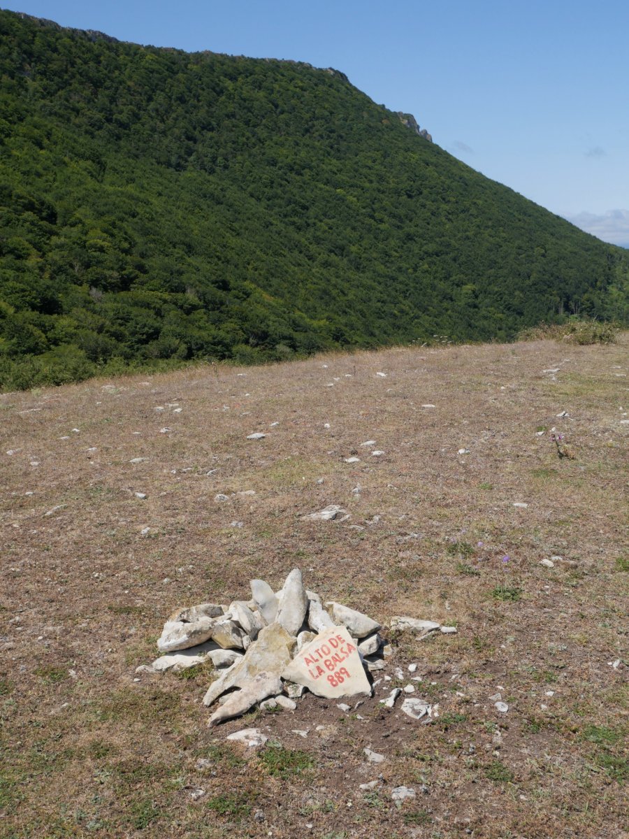 Baltsa Gaina, harripila tontorrean