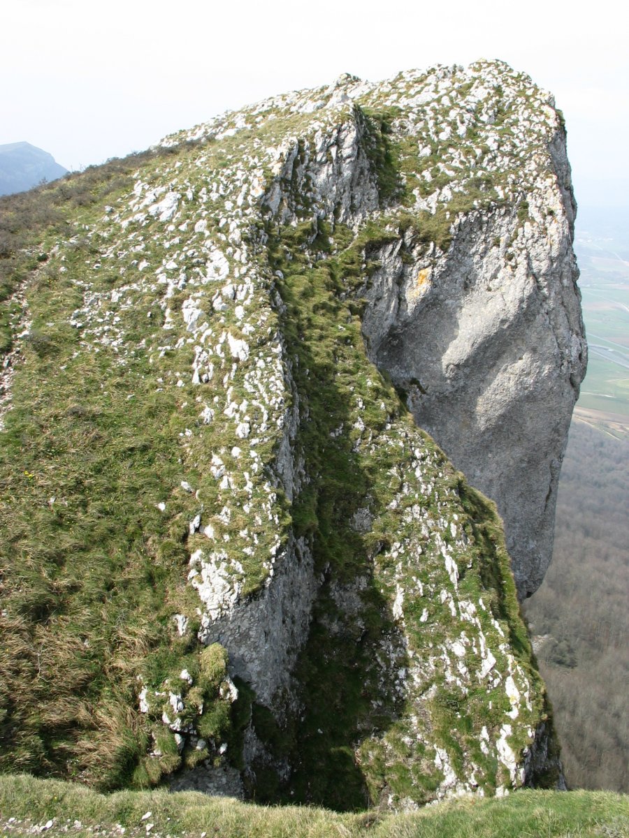 Mendebaldeko gandorrako pasarte bat