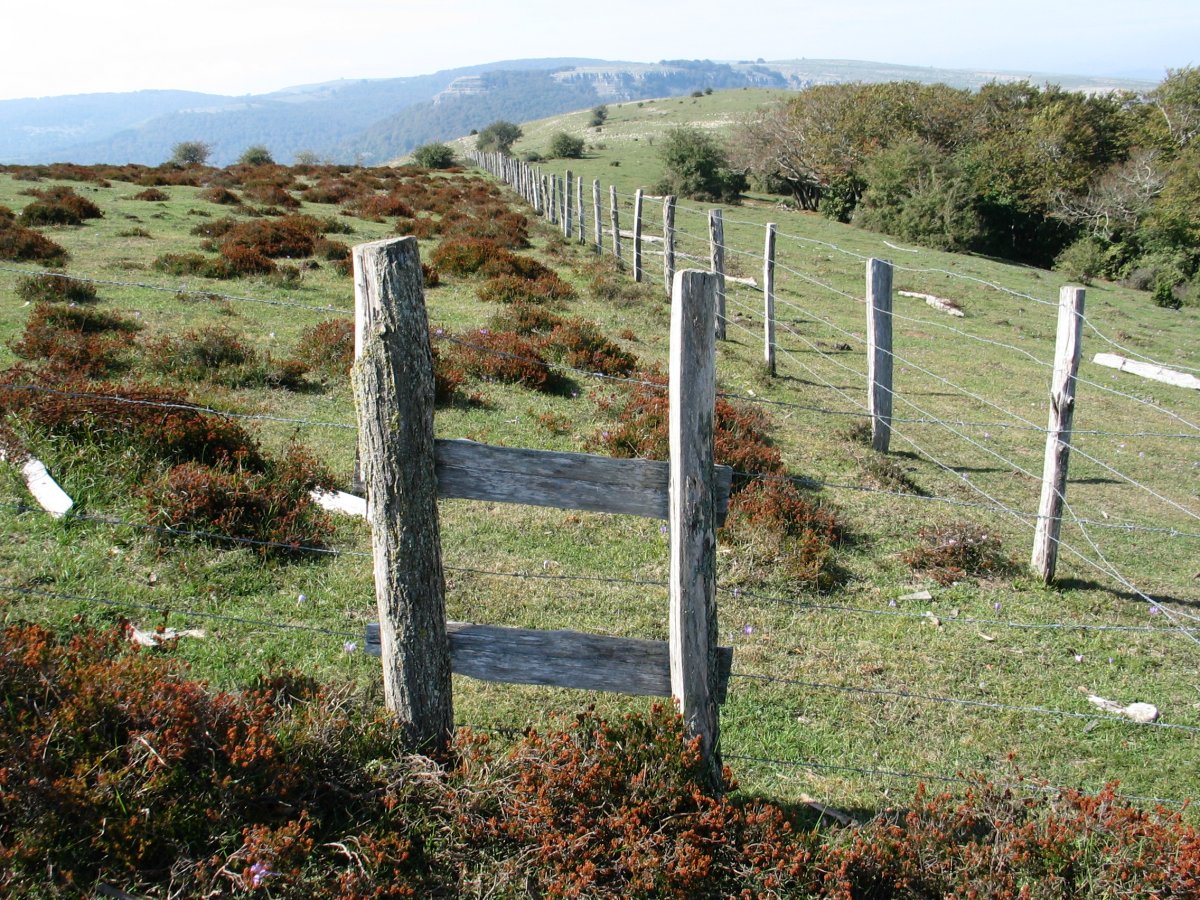 Hesiek zeharkatzen dute Zoiolagainako bizkarra