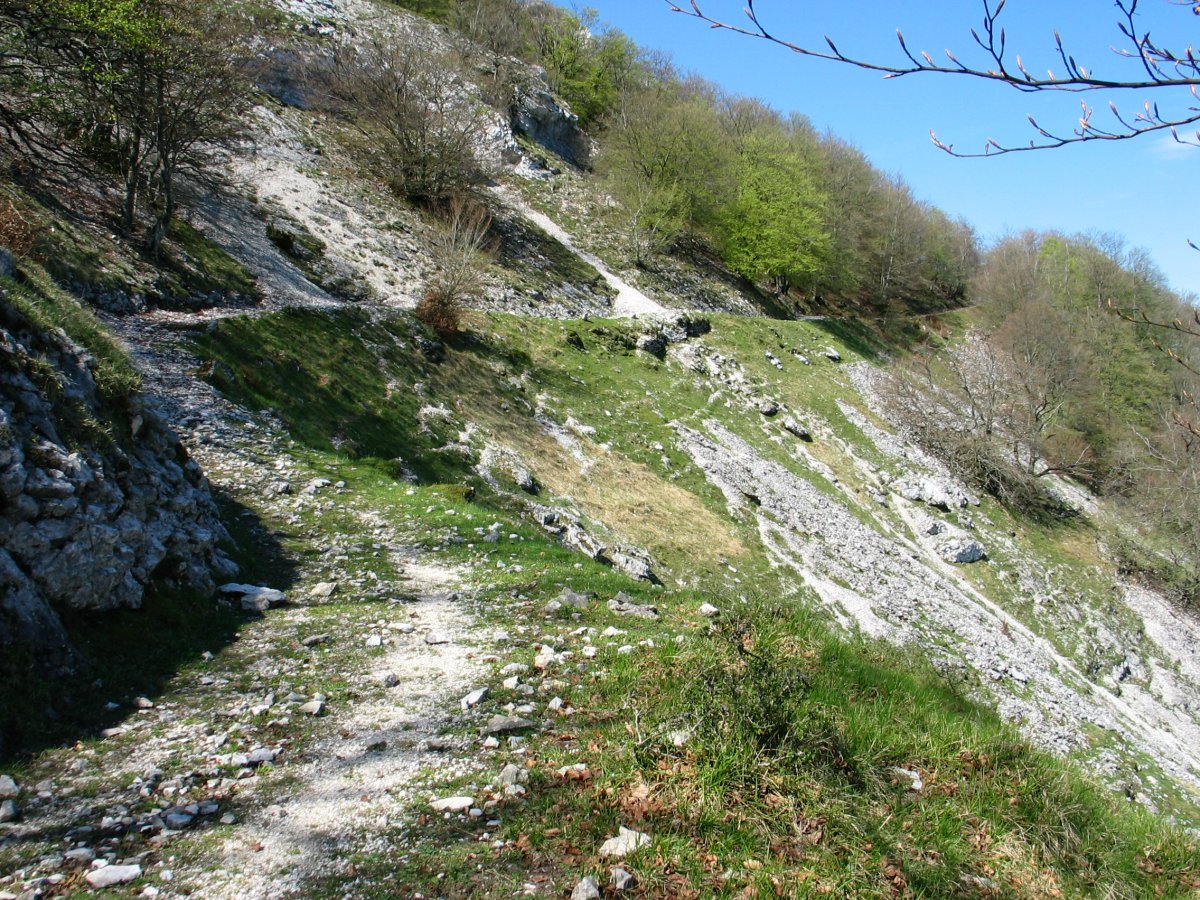 Lizarragatik San Adriango mendate zaharreko igoerako bidea