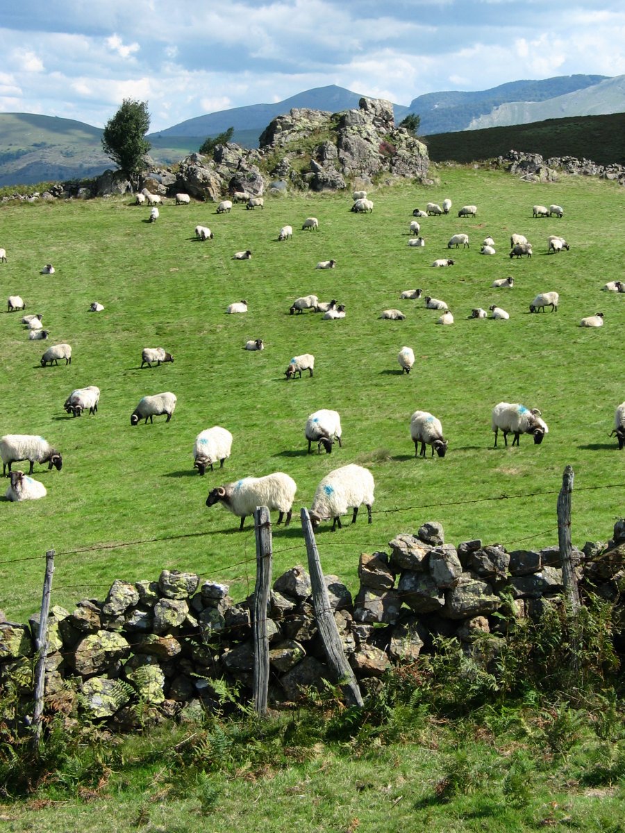 Buluntzako trikuharriaren inguruak