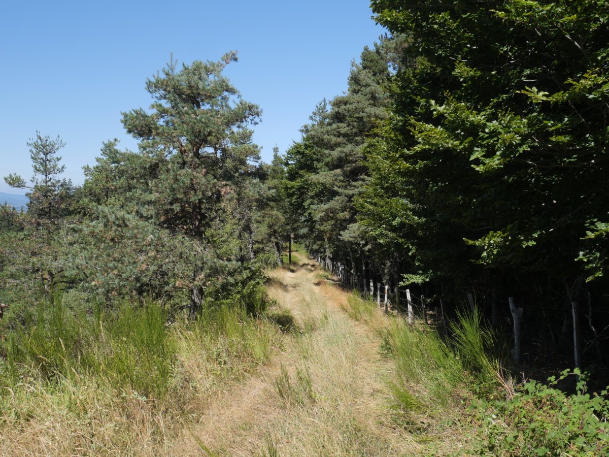 Migoletako iparraldeko bizkarrean behera