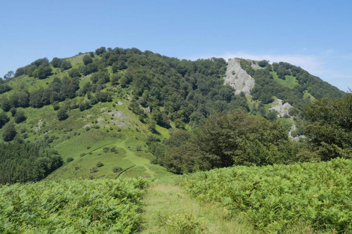 Pagoeta eta Urkieta Musaioko hegitik