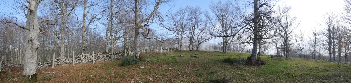 Debata gaineko paisaia