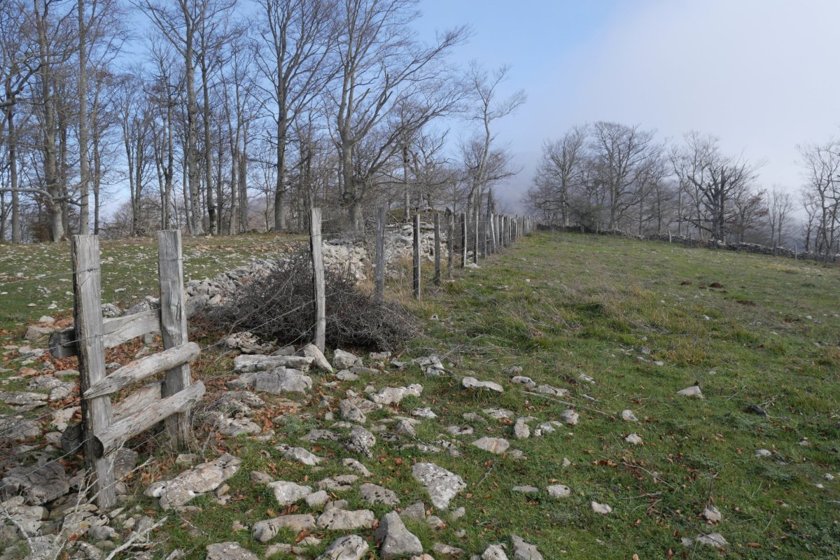 Debatako gain zabala