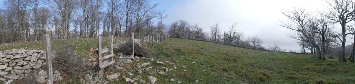 Debatako gain zabala