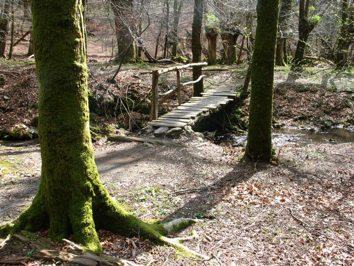 Zubi zaharra Erroiarri errekaren gainean, Eskasetik Artikutzara jaisten den bidean